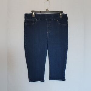 Chicos Pull On Capris Lunabelle Indigo Stretch ~ Size 1 Chicos Size 8 US